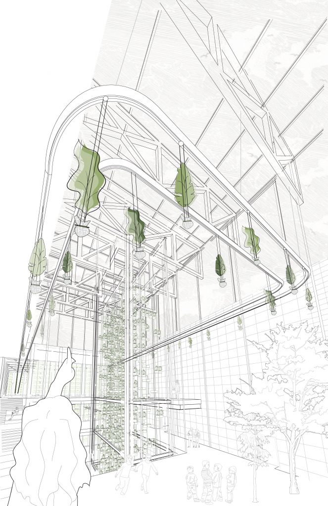 Sketch of an indoor space with hanging plants, and structural framework.