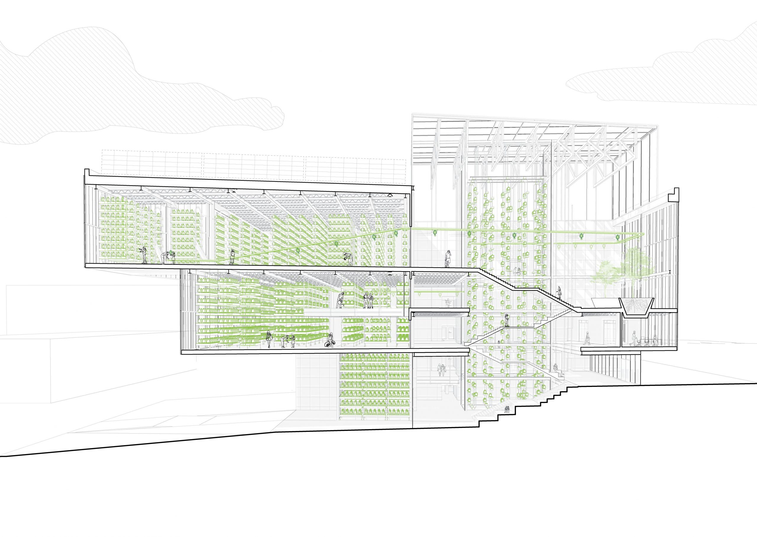 Sectional architectural drawing with indoor greenery and structural details