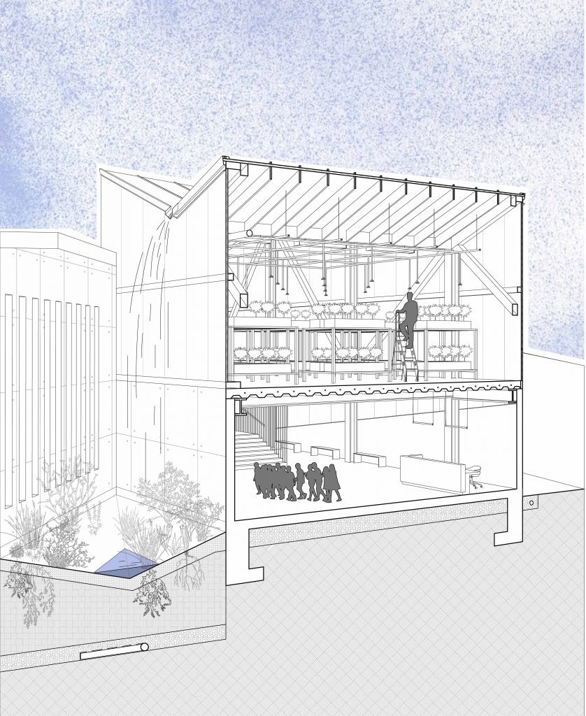Cross-sectional architectural drawing of a building with indoor planting shelves, a figure on a ladder, and a group of people.
