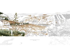 Art by Alejandra Leon de Gante inspired by ecological damage from Mezcal monoculture, Oaxaca, Mexico