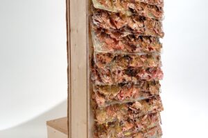 A wall and floor assembly model featuring a structure with maple leaf cladding set in pine resin, wooden dowels, and cork insulation, mimicking tree components.