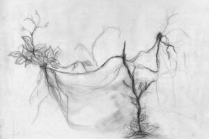 Photomorphogenesis by Kaylee Komatich—pencil drawing of intertwined plant stems and leaves with fine lines.