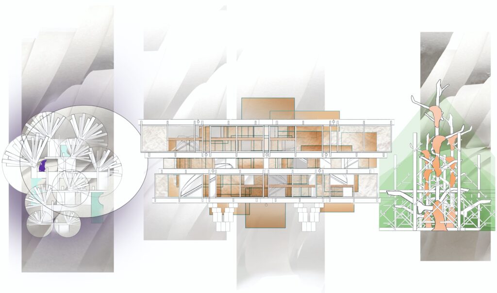 Three architectural sections showing circular tree-like forms, layered rooms, and branching organic structures.