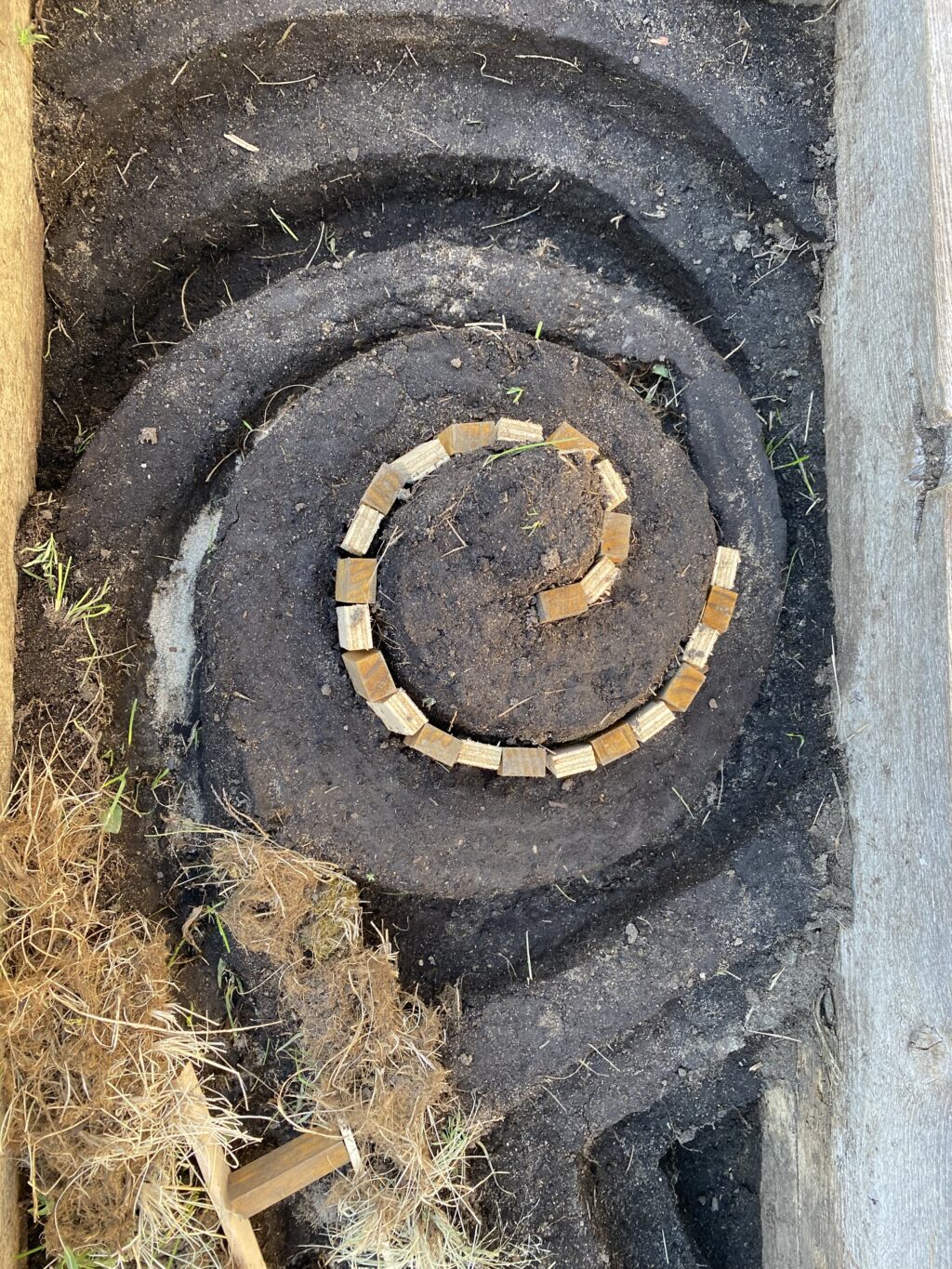 Spiral earthwork carved into planter soil with a ring of small wooden blocks at the center.