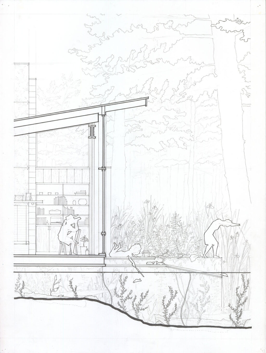 An architectural section drawing of a house beside a pond, showing humans and turtles sharing a sunlit deck in a forest.