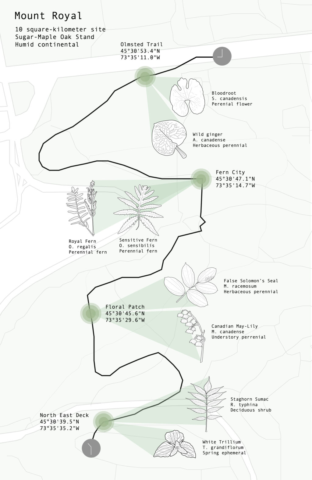 Plant species map of Mount Royal showing trail stops with botanical illustrations and coordinates.