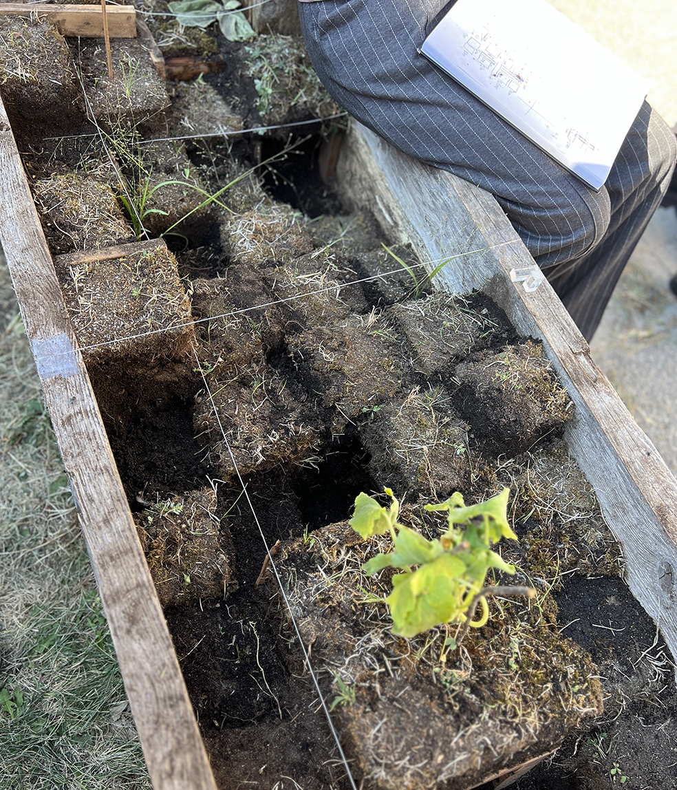 Grid of stacked soil blocks inside a wooden planter