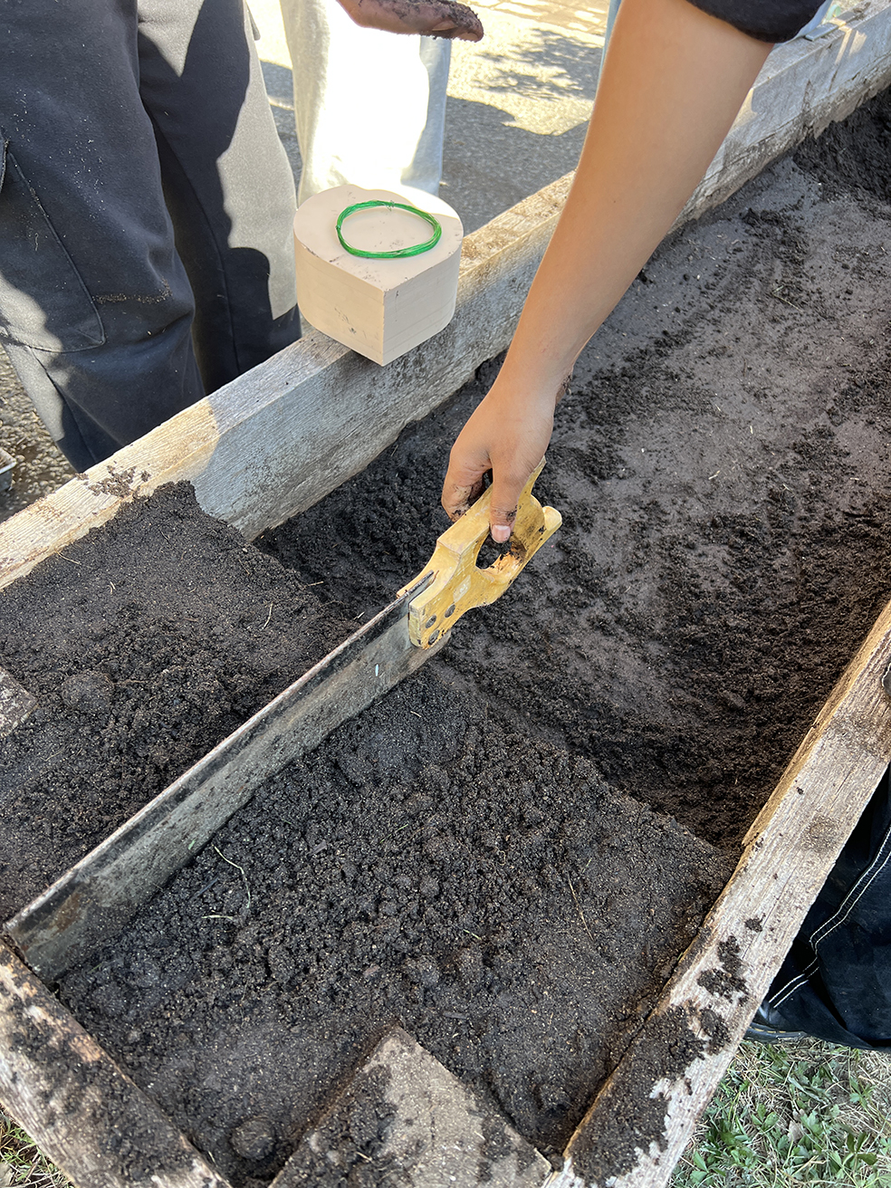 Hand holding a saw cutting through soil inside a wooden planter box.