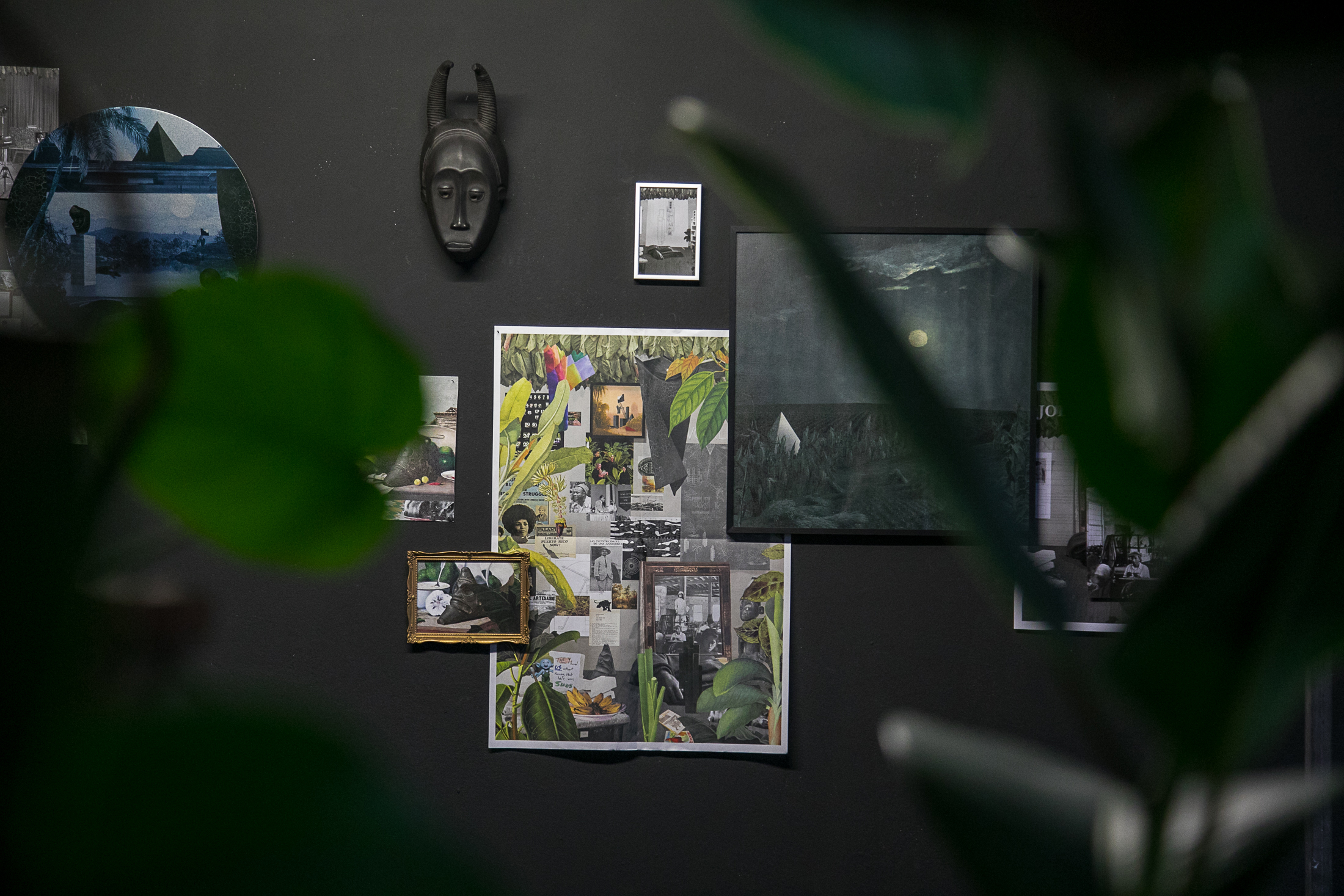 Installation view of a black wall featuring a collage of photographs, a dark mask with horns, and plant leaves in the foreground.