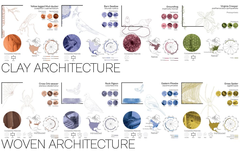 Diagram comparing species' nest-building using clay or woven materials with maps and compatible materials.