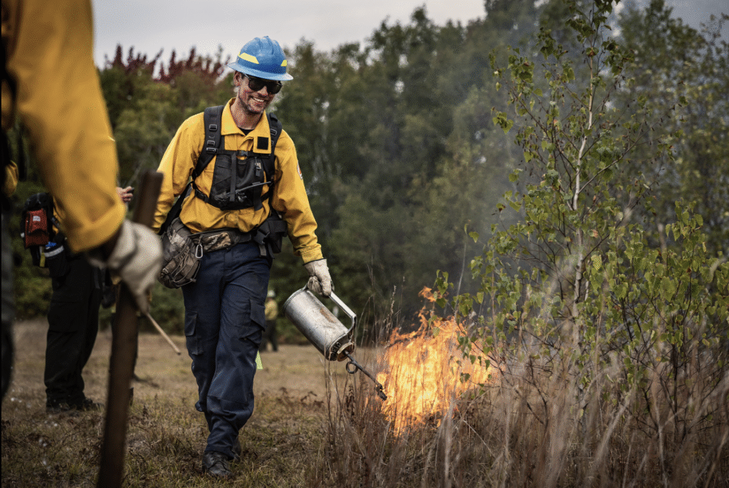 Keegan Metheringham uses a drip torch to ignite grass during a prescribed burn in a forest clearing.