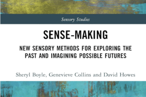 Cover of the book ‘Sense-Making’ featuring abstract blue and yellow textured artwork.