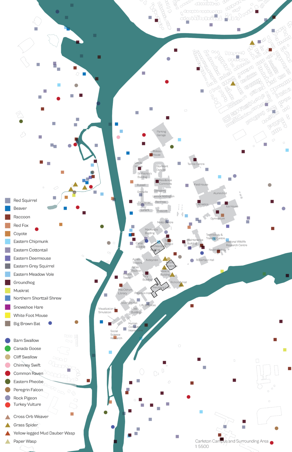 Map showing species sightings on Carleton campus, marked by colored dots and shapes near buildings and rivers.