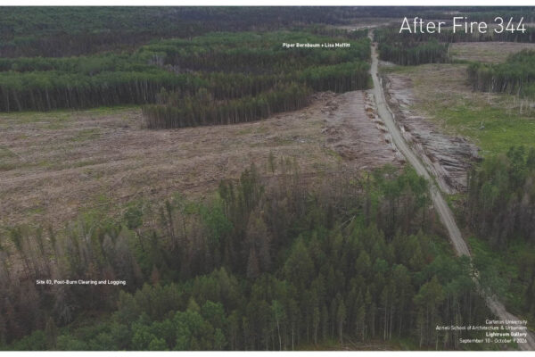 Site 03 Post-Burn Clearing and Logging