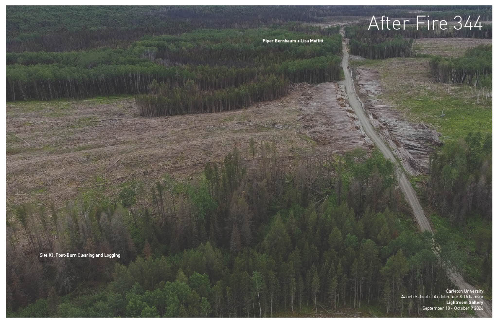 Site 03 Post-Burn Clearing and Logging