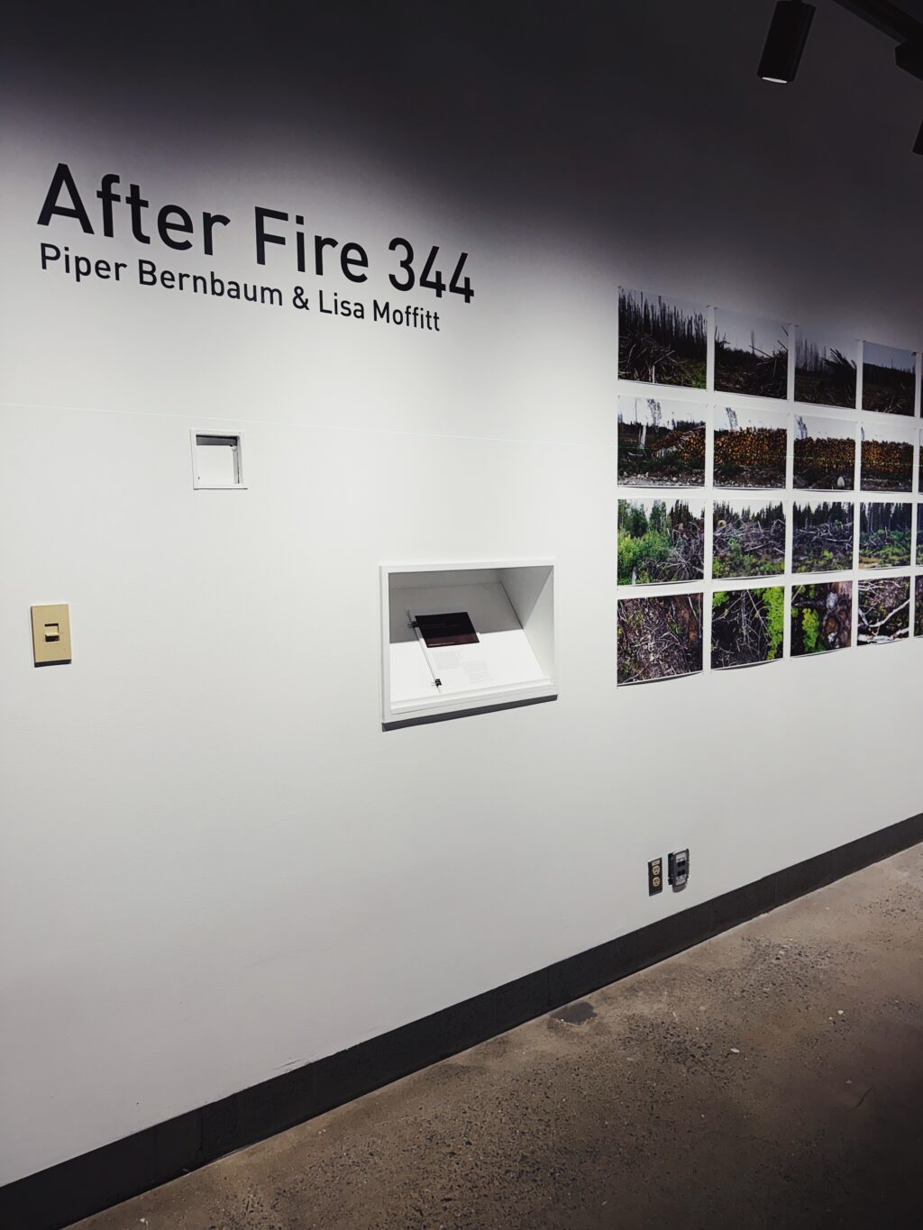 after fire 344 exhibit title