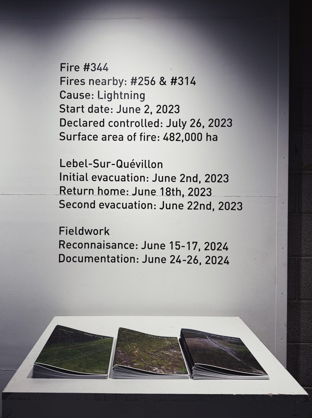 summary of after fire 344