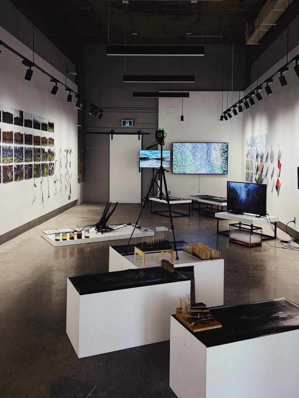 Lightrrom gallery with the after fire 344 exhibit